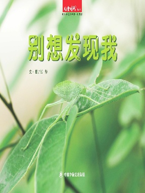 别想发现我.pdf