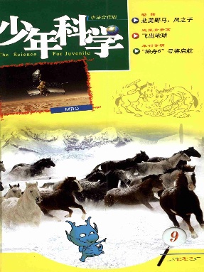 少年科学2005年第9期.pdf
