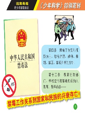 少年科学2009年第7期禁毒 防艾小册子.pdf