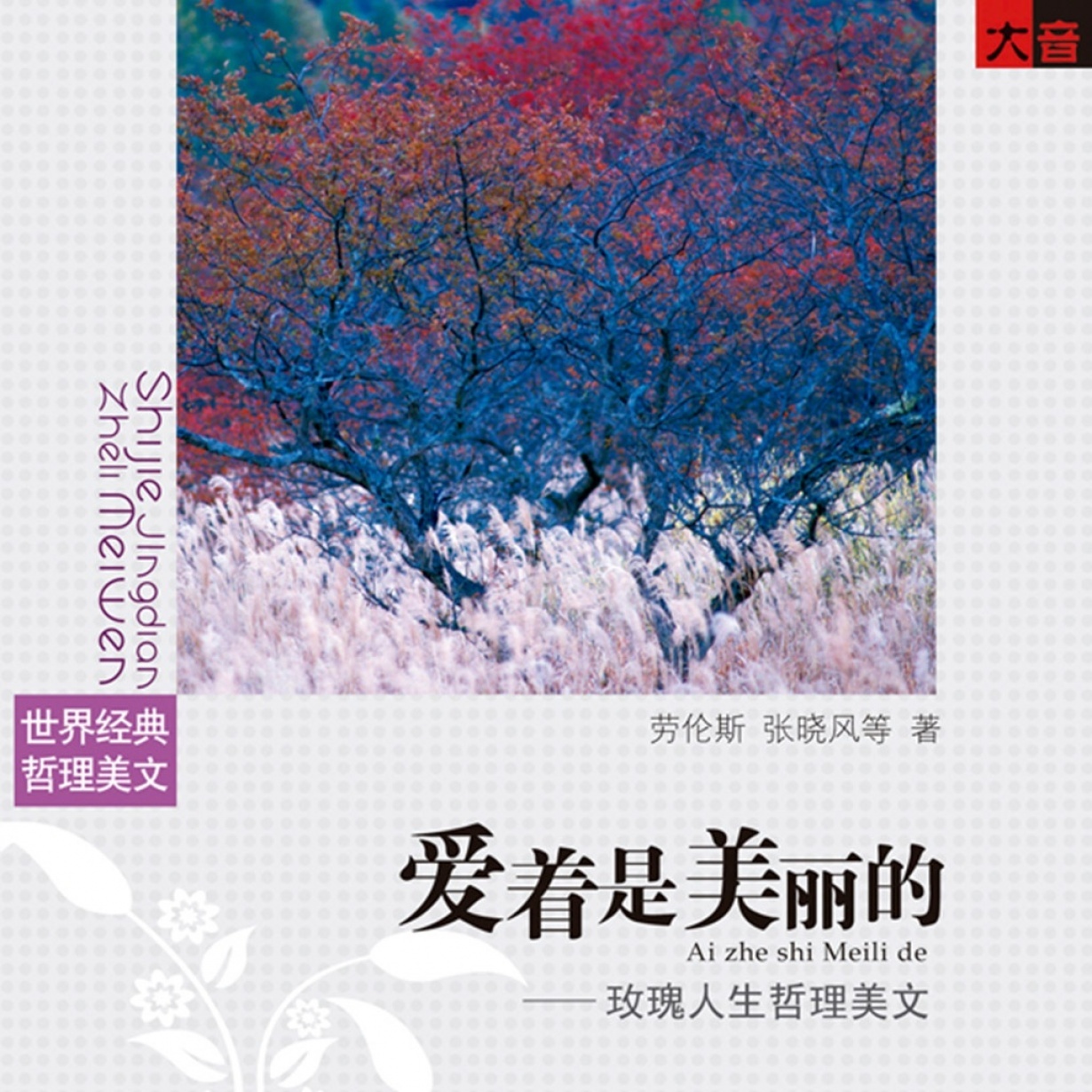 爱着是美丽的.mp3