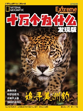 2016年3月刊.pdf