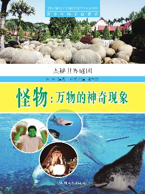 怪物：万物的神奇现象.pdf