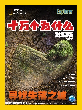 十万个为什么发现版2019年6月刊.pdf