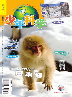 少年科学2009年第1期.pdf