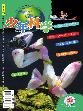 少年科学2011年第7期.pdf
