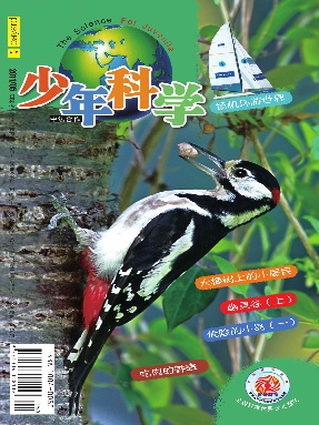 少年科学2011年第5期.pdf