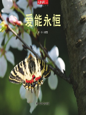 爱能永恒.pdf