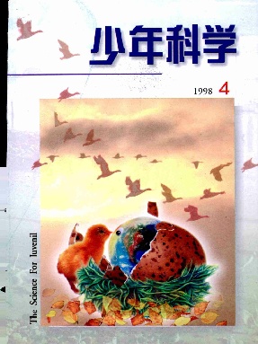 少年科学1998年第4期.pdf