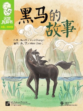 黑马的故事.pdf