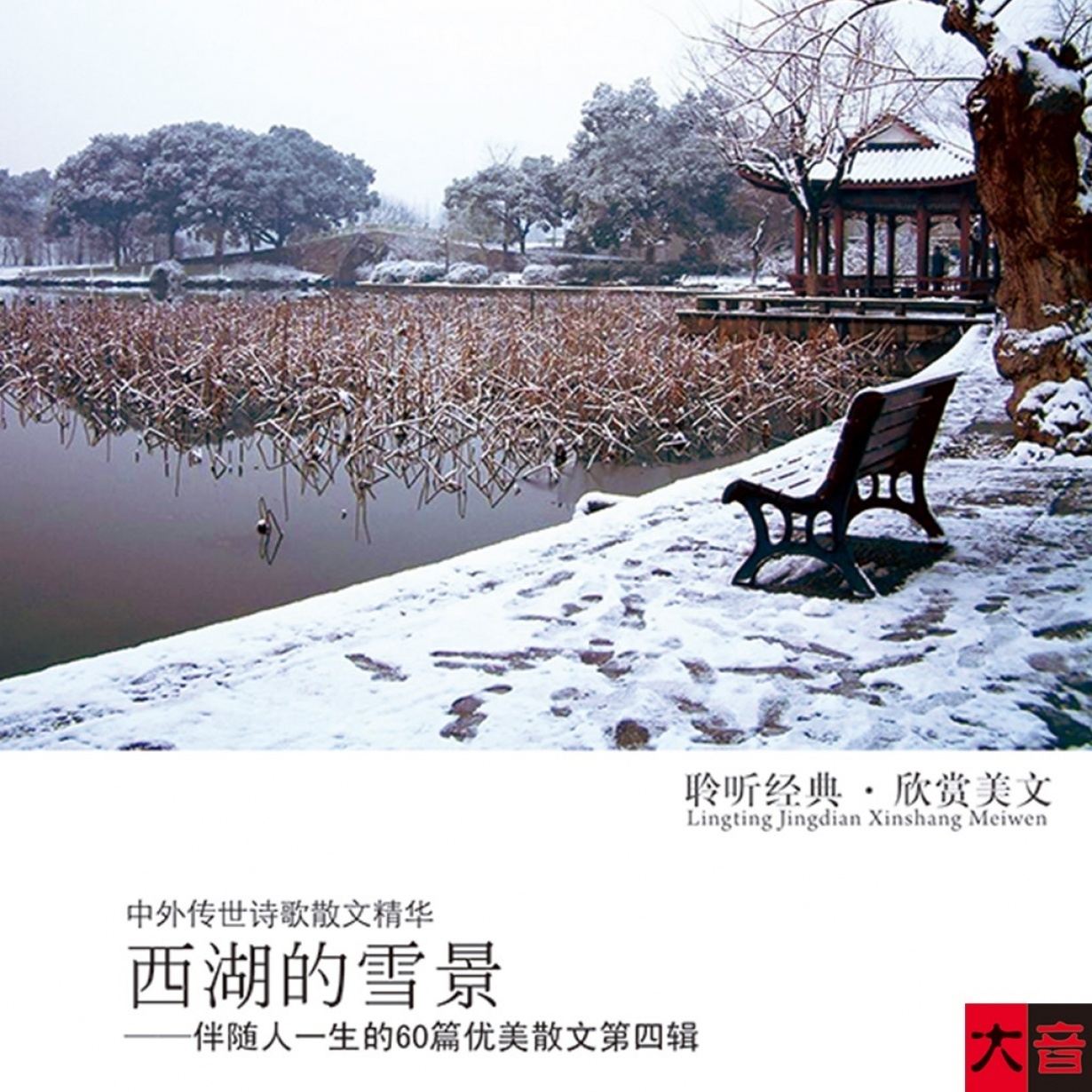 西湖的雪景.mp4