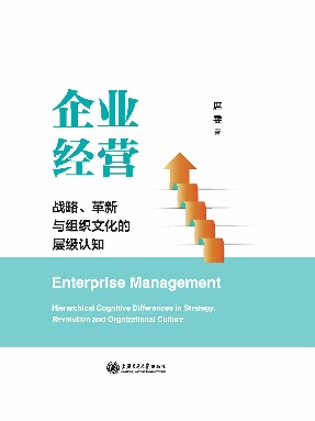 企业经营：战略、革新与组织文化的层级认知.epub