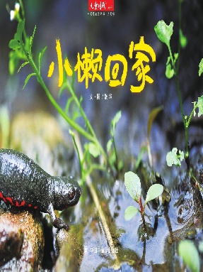 小懒回家.pdf