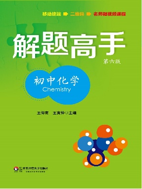 解题高手·初中化学.pdf