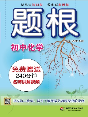 题根·初中化学.pdf