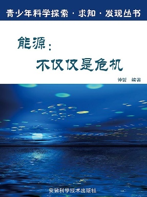 能源：不仅仅是危机.epub