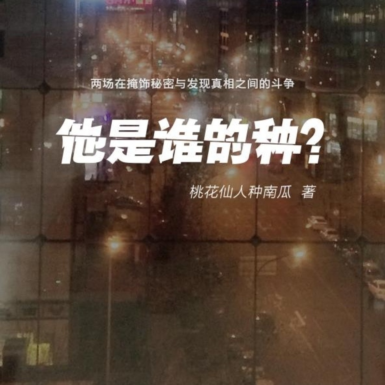 她的儿子是谁的种.mp3