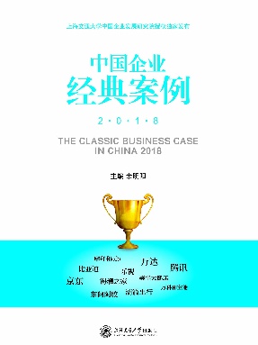 中国企业经典案例2018.epub