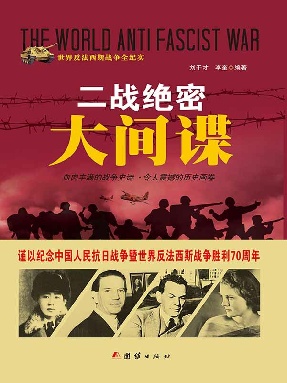 二战盟国大英雄.epub