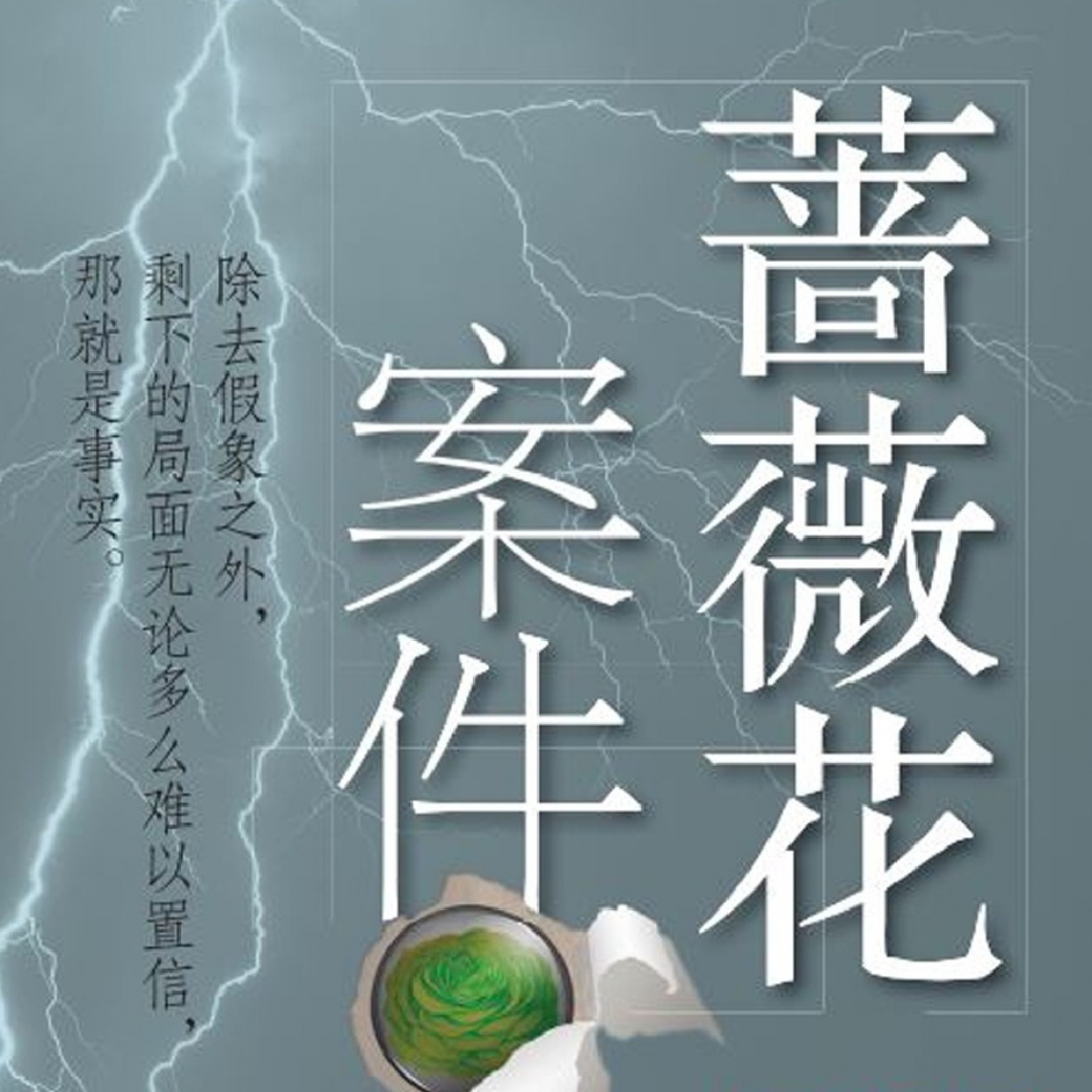 蔷薇花案件.mp3