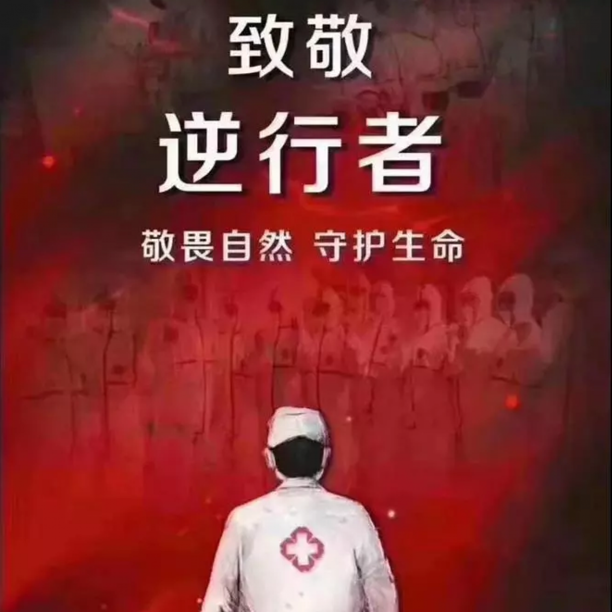 最美的逆行.mp3