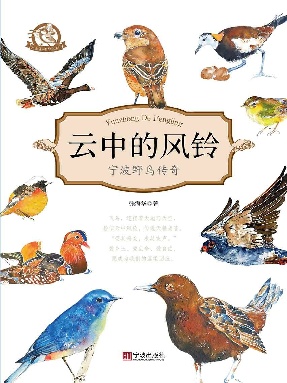 云中的风铃：宁波野鸟传奇.epub