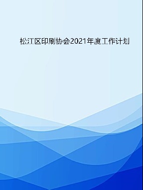 松江区印刷协会2021年度工作计划.pdf