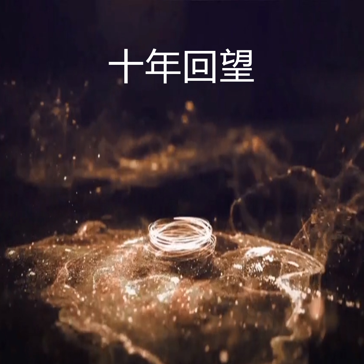十年回望视频.mp4