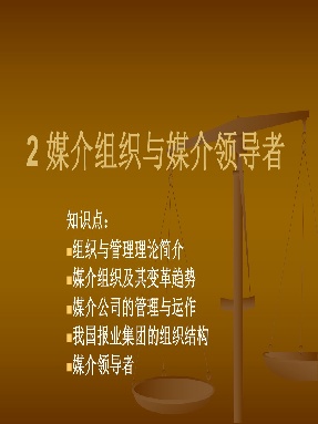2 媒介组织.pdf