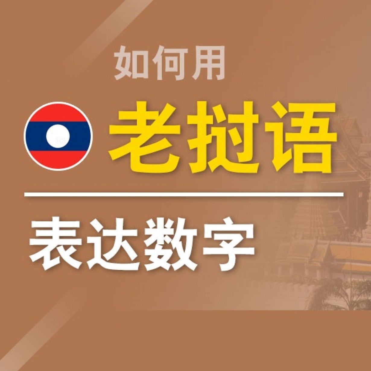 如何用老挝语表达数字.mp4