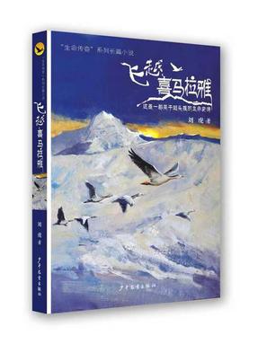 飞越封面.pdf
