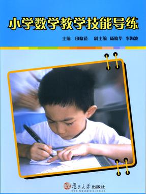 小学数学教学技能导练.pdf