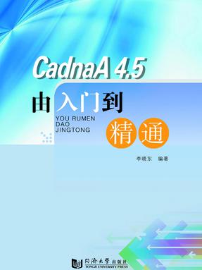 Cadna A4.5由入门到精通.pdf