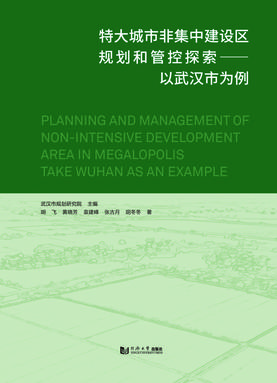 特大城市非集中建设区规划和管控探索.pdf