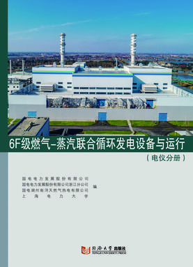 6F级燃气-蒸汽联合循环发电设备与运行（电仪分册）.pdf