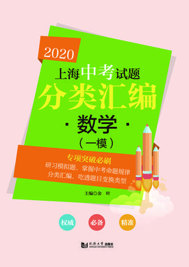 2020  上海中考试题分类汇编 数学（一模）.pdf