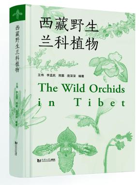 西藏野生兰科植物.pdf