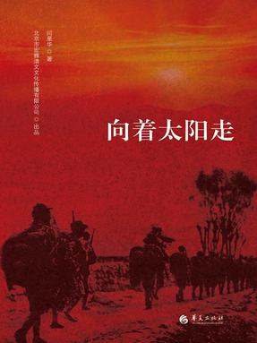 向着太阳走.epub