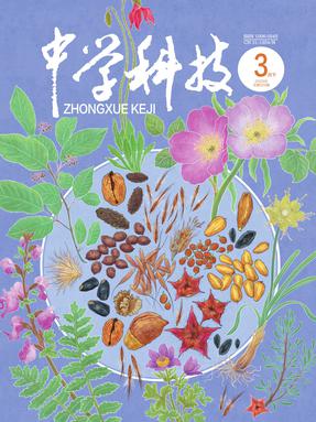 中学科技2023第3期.pdf